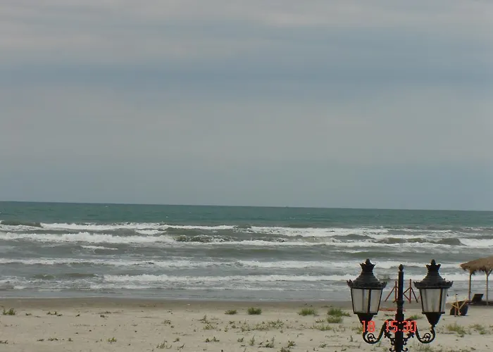 California Dreaming 3* Năvodari